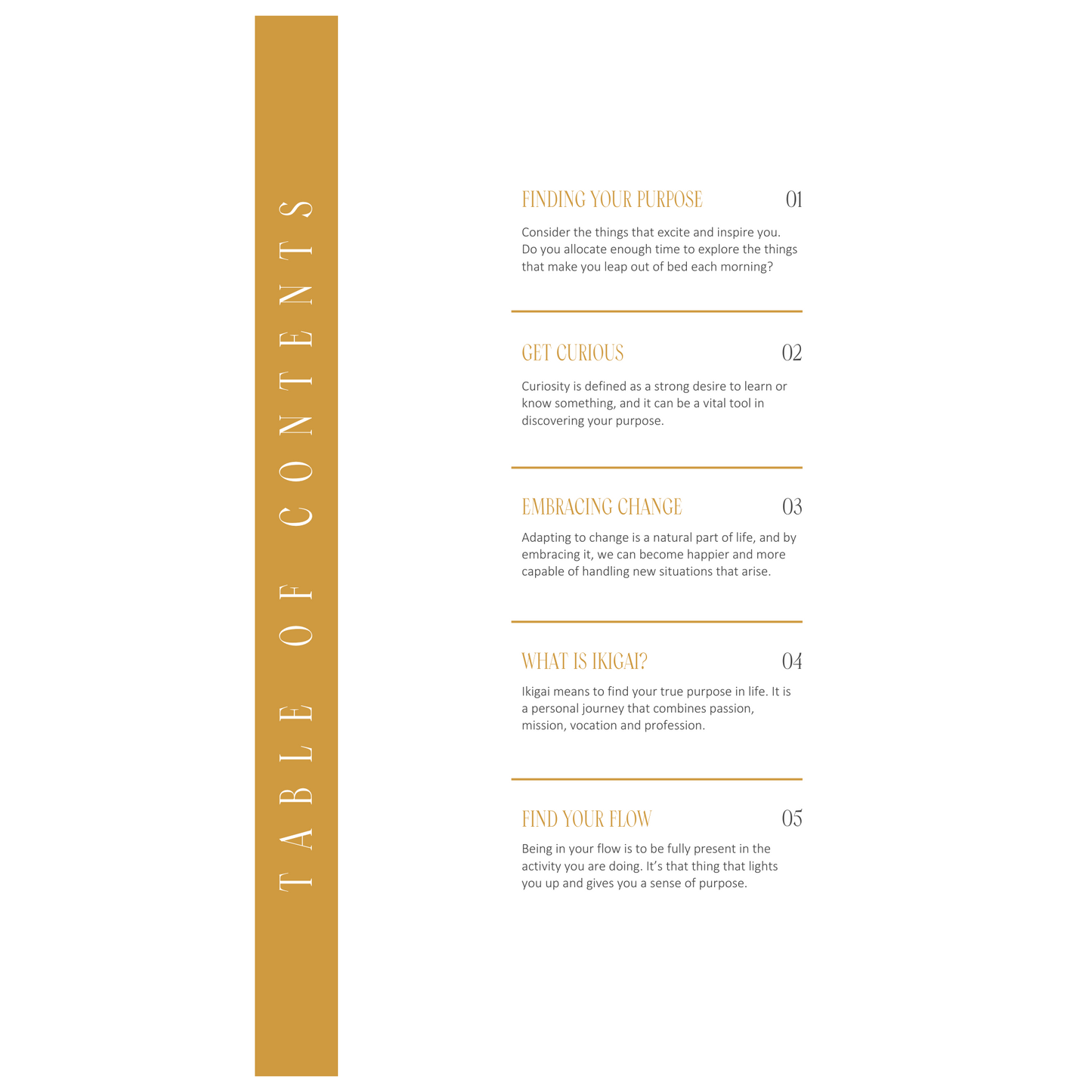 Life Purpose Journal Digital Ebook